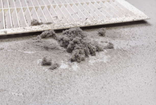 Best HVAC Air Duct Cleaning  in Torrington, WY